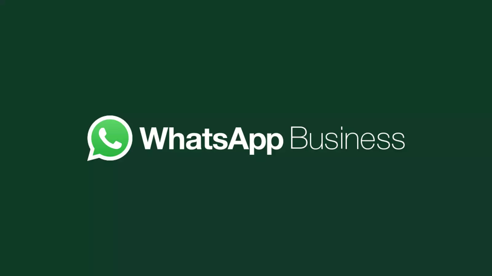 WhatsApp Business Mobil Uygulaması Artık Resmi API Erişimine Sahip! (Türkiye Hariç)